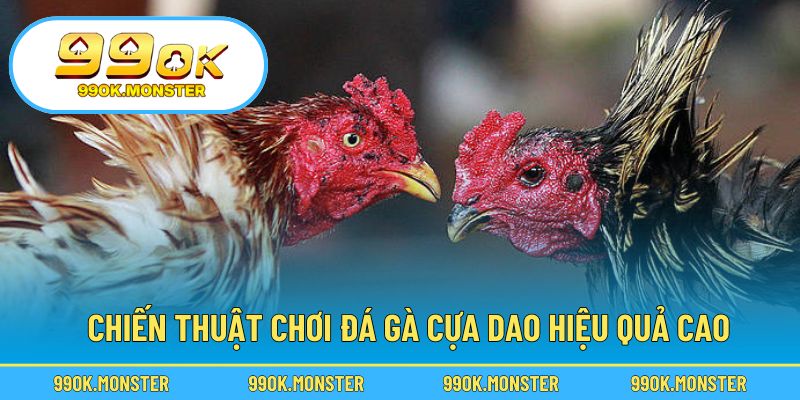 Cách chơi khôn ngoan để nâng cao tỷ lệ thắng cược