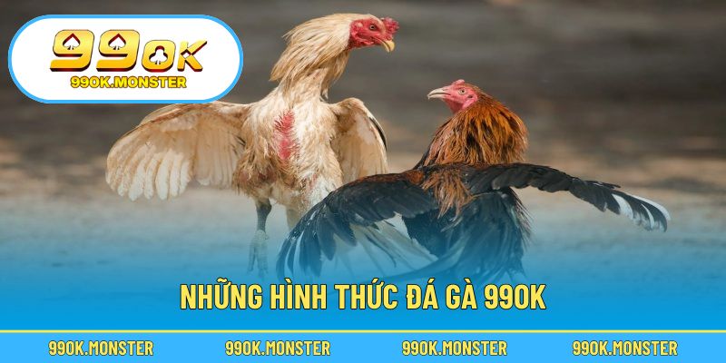 Cách chơi phong phú, phù hợp nhiều phong cách giải trí