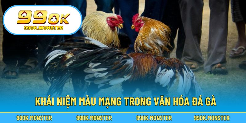 Hiểu ý nghĩa phong thủy trong chọn chiến kê thắng lớn