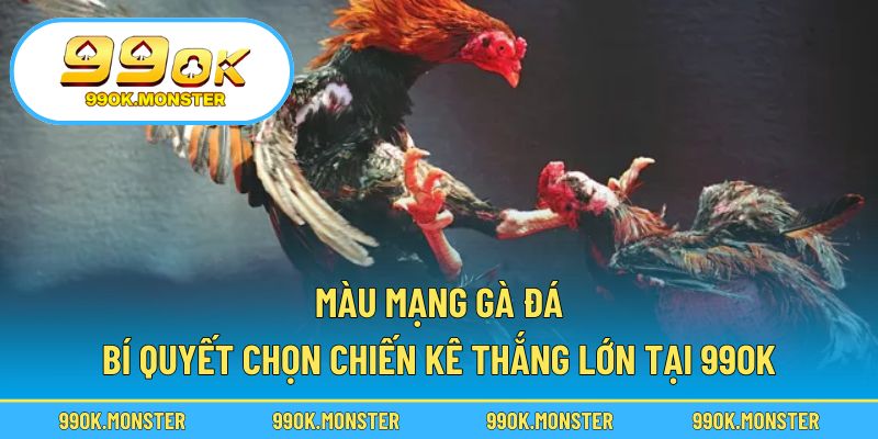 Màu mạng gà đá