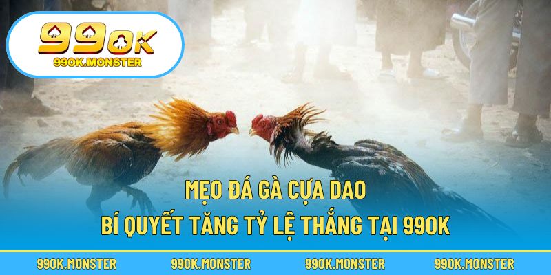 Mẹo đá gà cựa dao