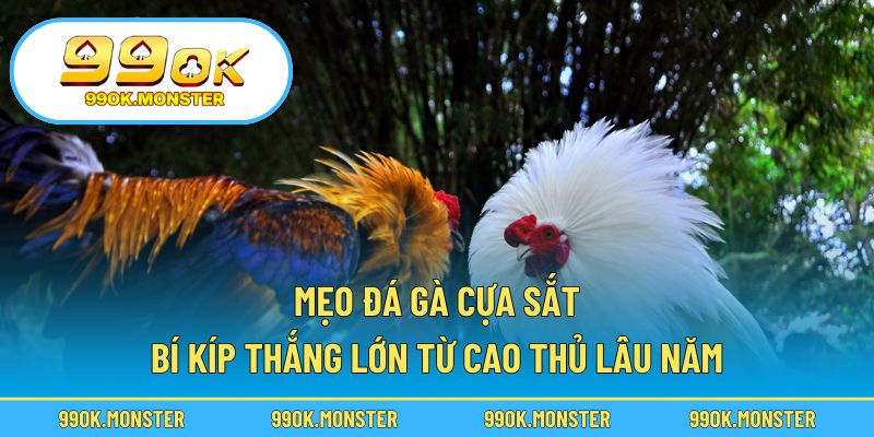 Mẹo đá gà cựa sắt