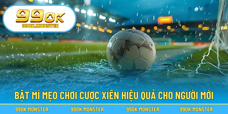 Nâng cao tỷ lệ thắng bằng kinh nghiệm chọn kèo chuẩn xác