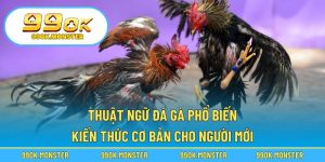 Thuật ngữ đá gà phổ biến