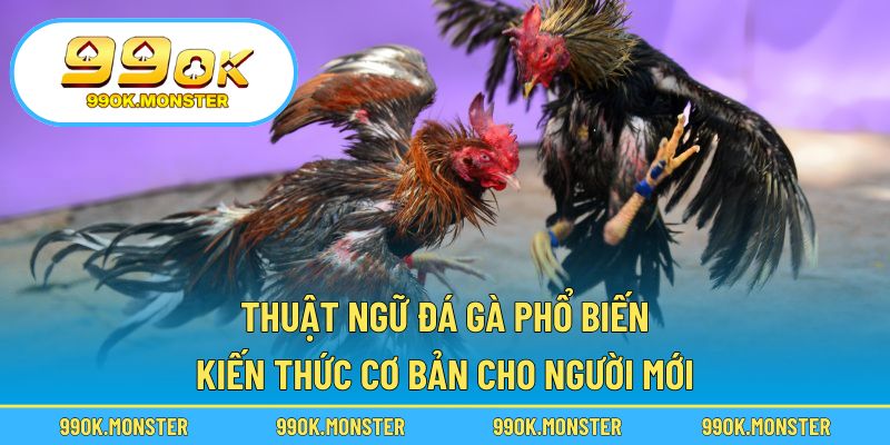 Thuật ngữ đá gà phổ biến