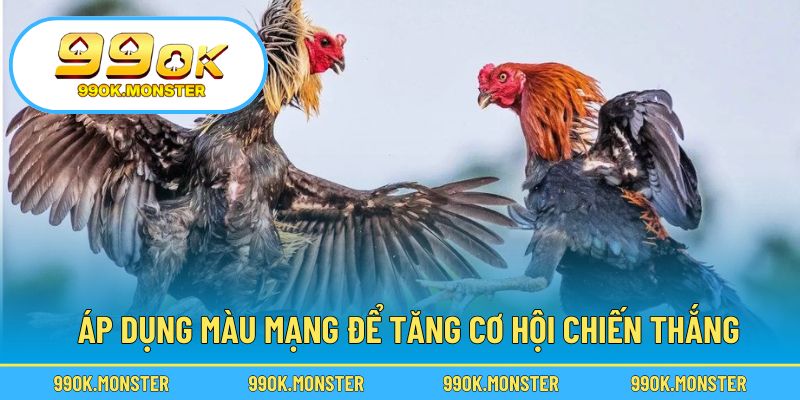 Vận dụng ngũ hành giúp tăng cơ hội chiến thắng